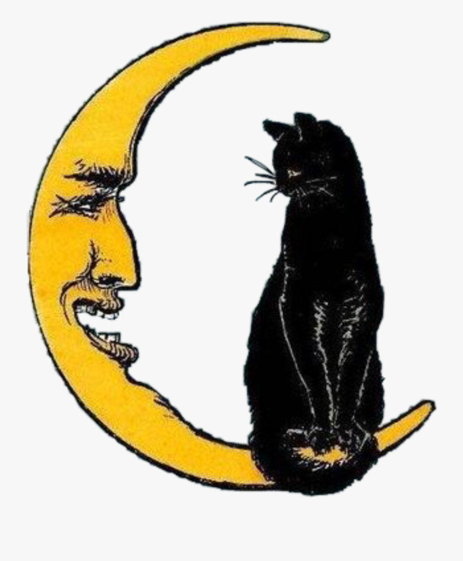 Transparent Vintage Halloween Cat Clipart - Cat On A Crescent Moon, Transparent Clipart