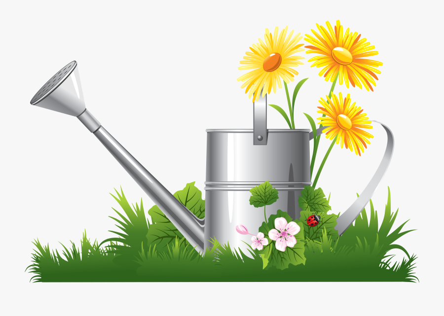 Chamomile Clip Art - Flowers Hd Clipart Png, Transparent Clipart