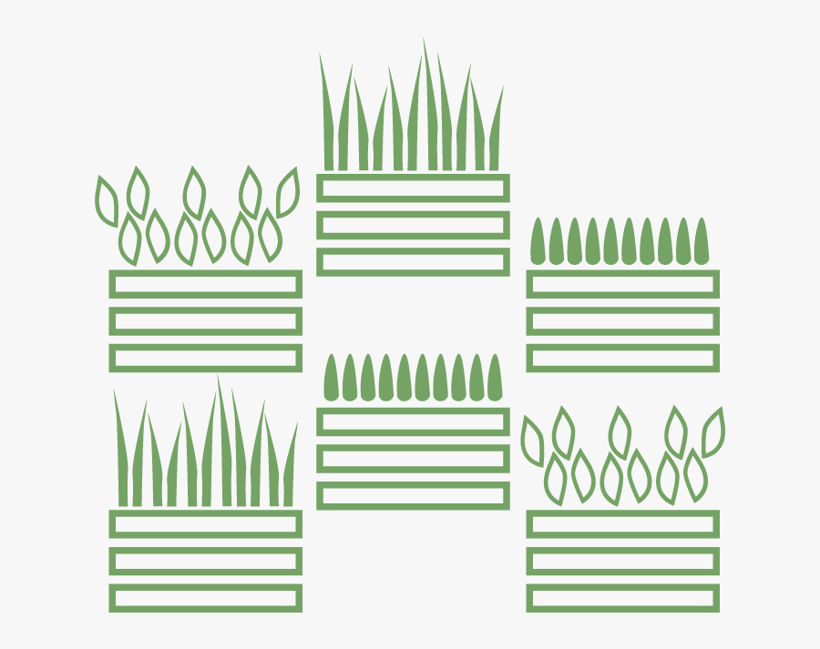 Moss Wall, Living Wall, Live Wall, Green Wall, Plant - Planted Wall Clipart, Transparent Clipart