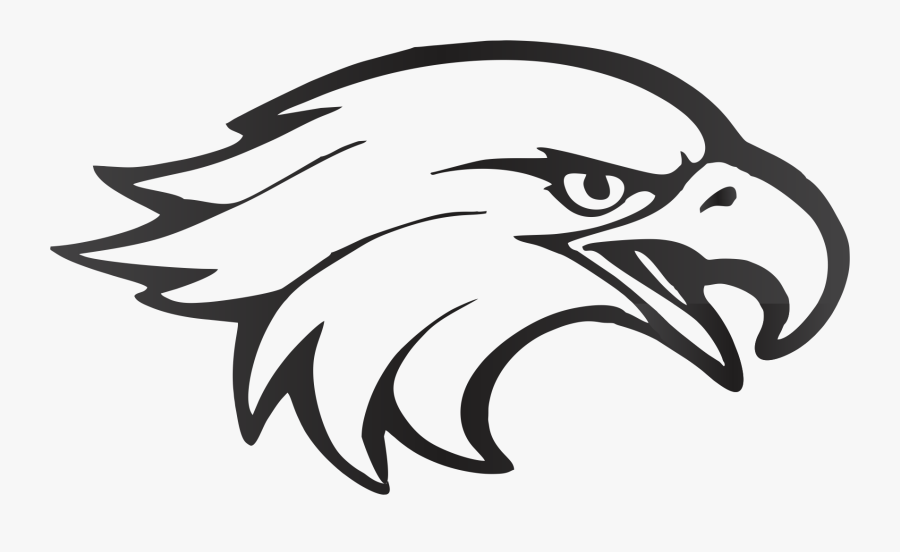 Bald Eagle Boy Scouts Of America Agência Eagles Clip - Icone Aguia Png, Transparent Clipart