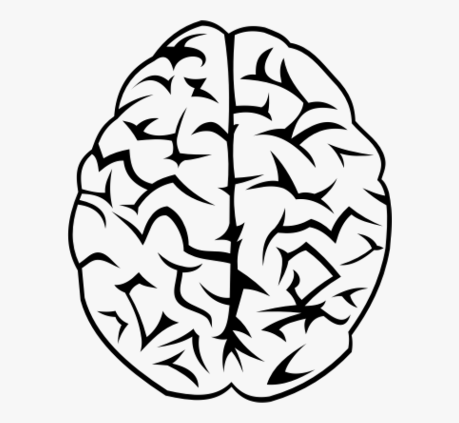 Water Bottles Water Bottles Copper Brain - Vector Transparent Brain Icon, Transparent Clipart