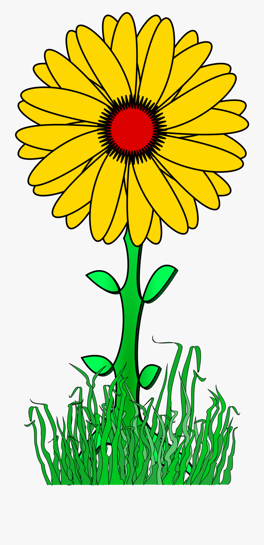Flower Path, Transparent Clipart