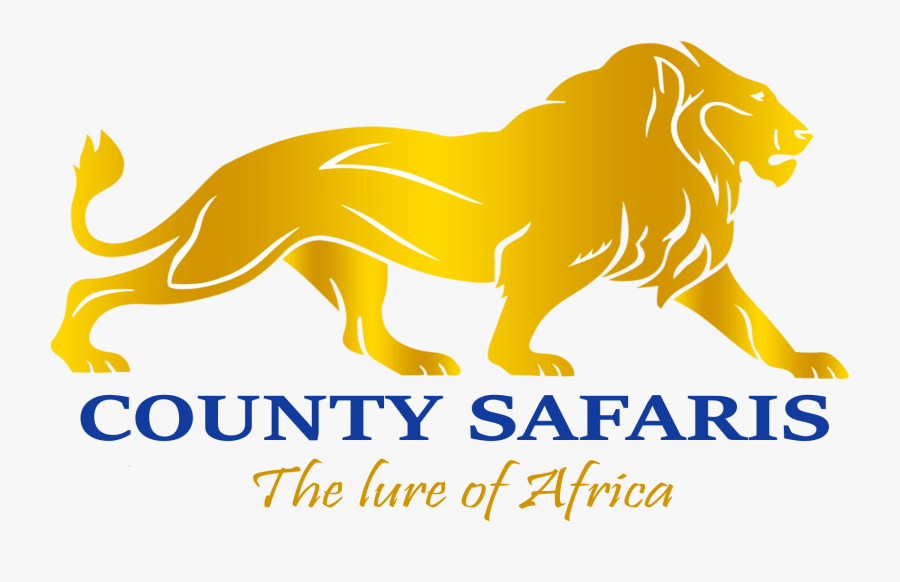 Banner Transparent Library Africa Clipart Safari Kenya - Masai Lion, Transparent Clipart
