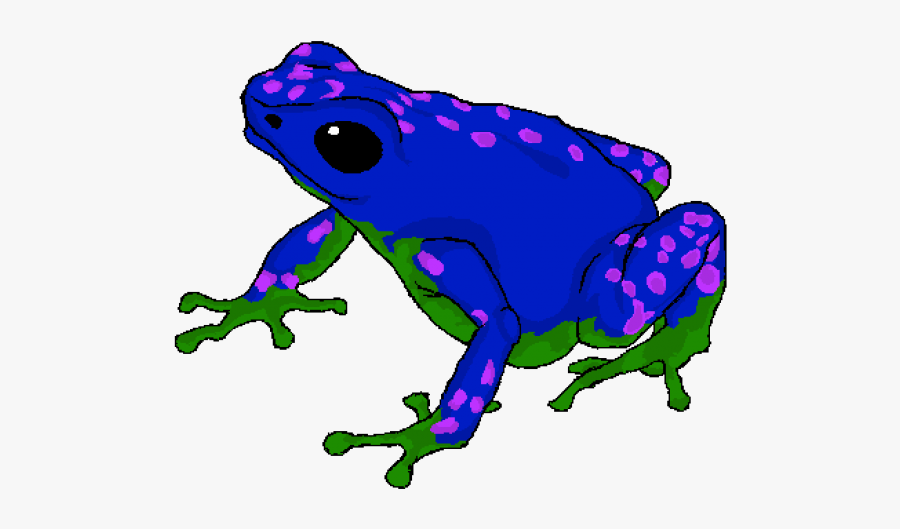 Poison Dart Frog Cartoon Free Transparent Clipart Clipartkey