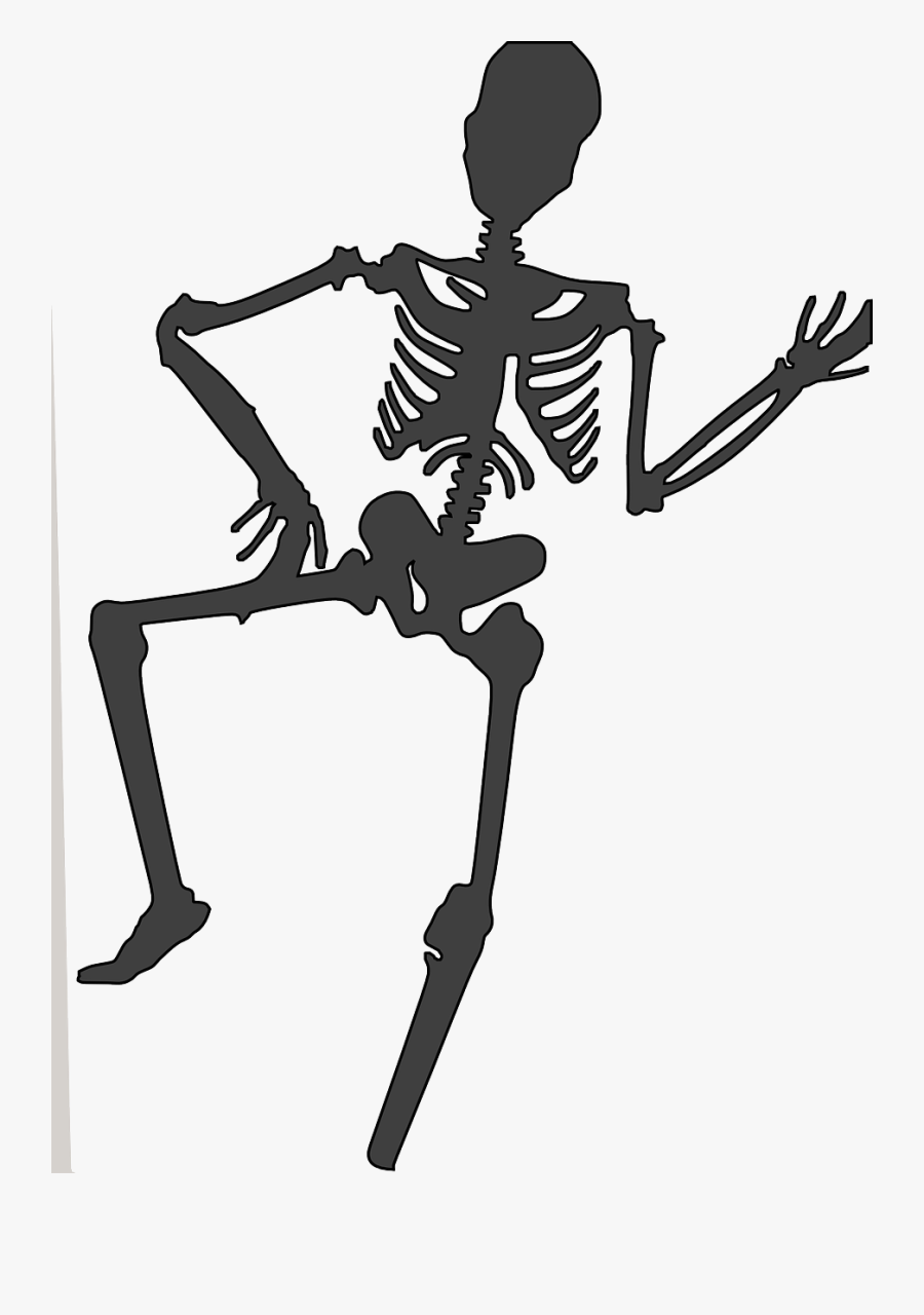 Top Tips For Bones - Skeleton Clip Art Png, Transparent Clipart