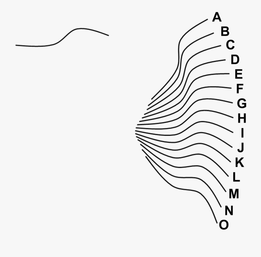 Orientation Of A Line Question Image - Line Art, Transparent Clipart