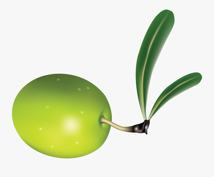 Olive Png, Transparent Clipart