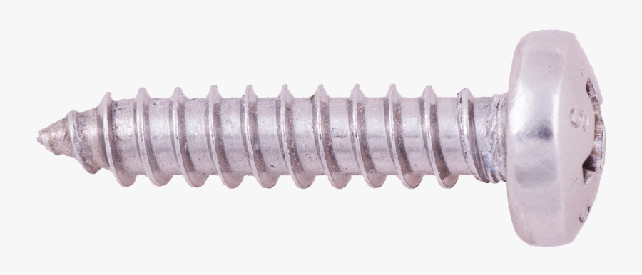 Download Screw Png Clipart - Screw Clipart, Transparent Clipart