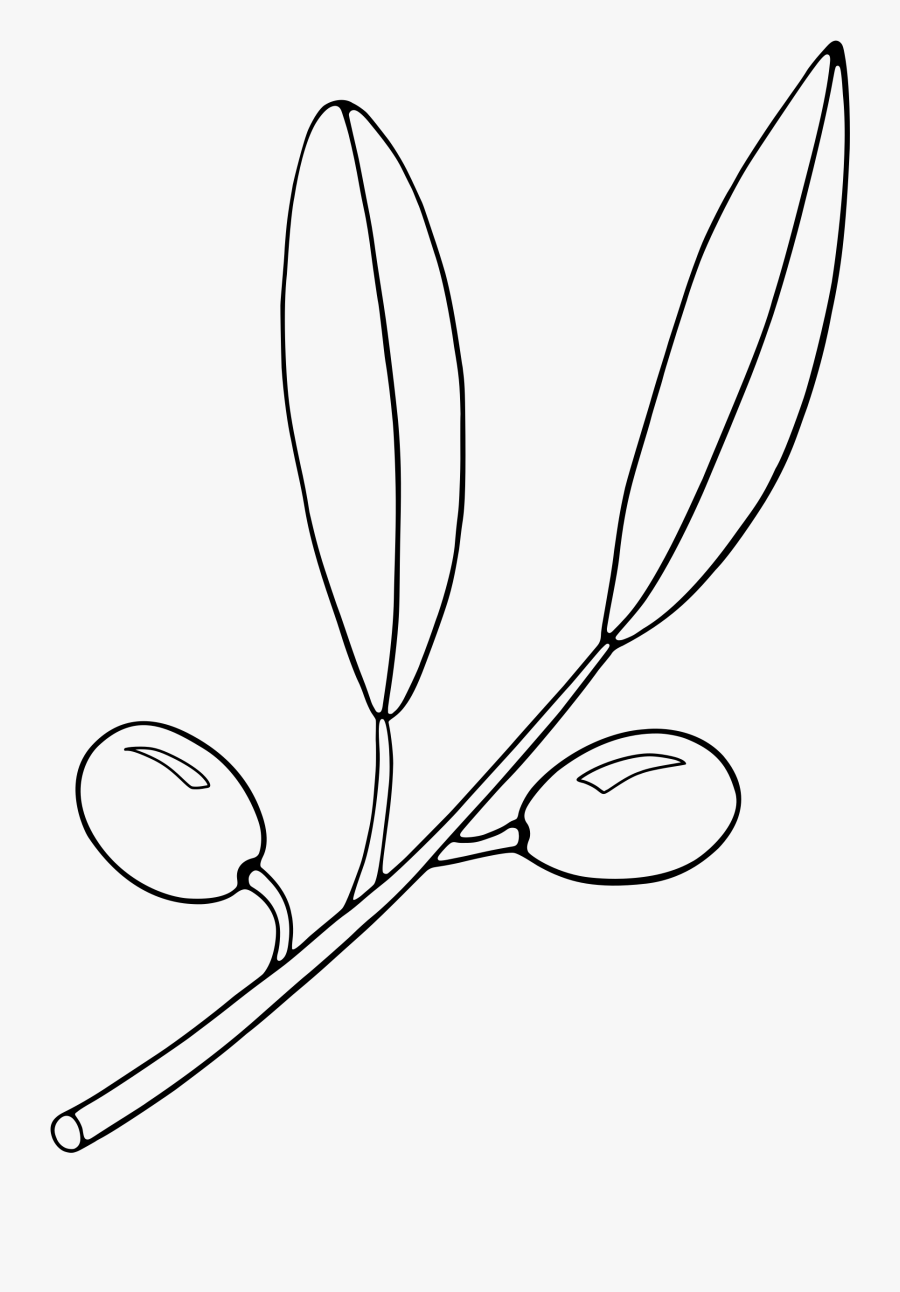 Olivier One Bw Clip Art - Olive Clipart Black And White Free, Transparent Clipart