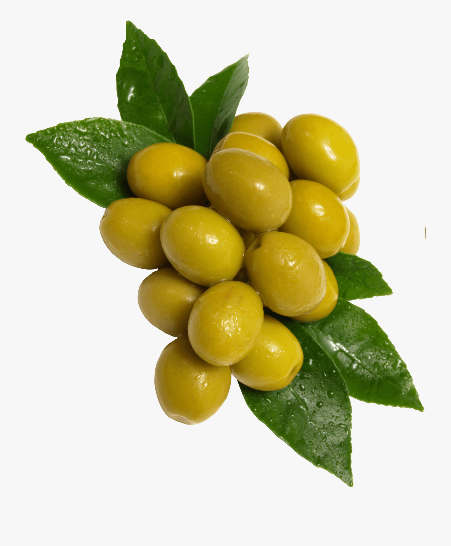 Clip Art Olives Png - Green Olives Png, Transparent Clipart