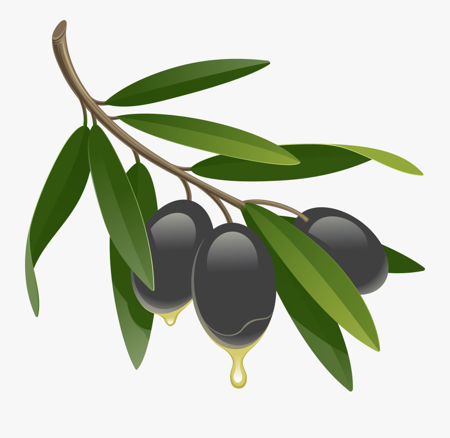 Olive Clip Art, Transparent Clipart