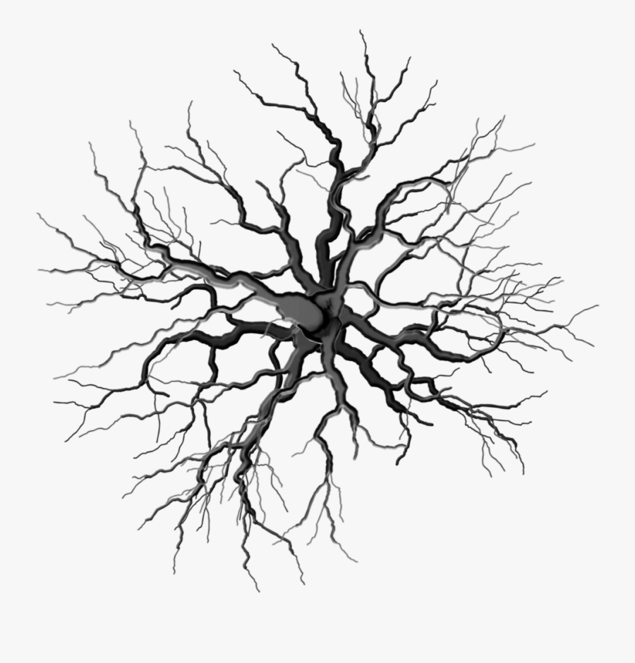 Transparent Dead Tree Clipart - Tree Branch Symbol, Transparent Clipart