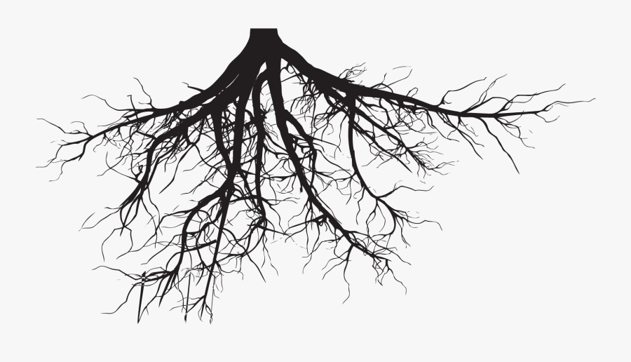Transparent Helping Others Clipart - Tree Roots Png, Transparent Clipart