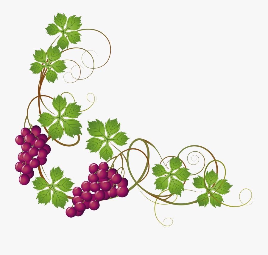 Grape Vine Clipart At Getdrawings - Grapes On Vine Clipart, Transparent Clipart