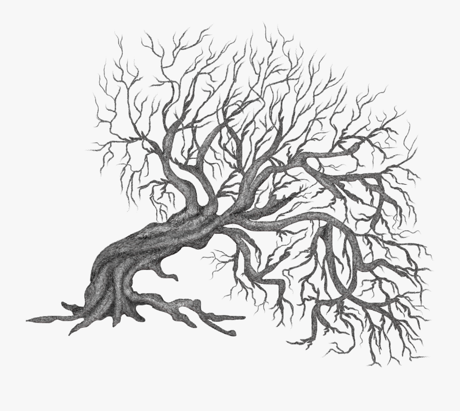 Winter Trees Painting Tree, Clipart Illustration, Png, Transparent Clipart