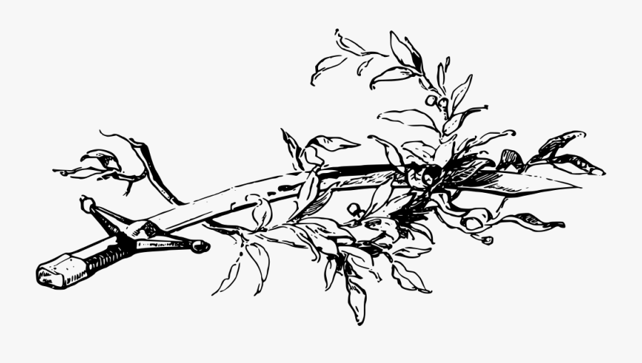 Sword And Olive Branch - Olive Branch Around The Sword, Transparent Clipart