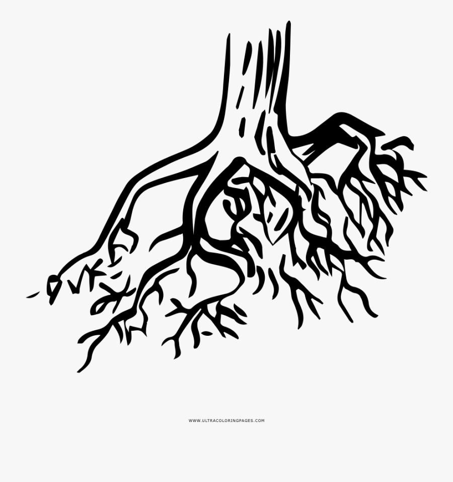 Tree Roots Coloring Page - Tree Root Icon Transparent, Transparent Clipart