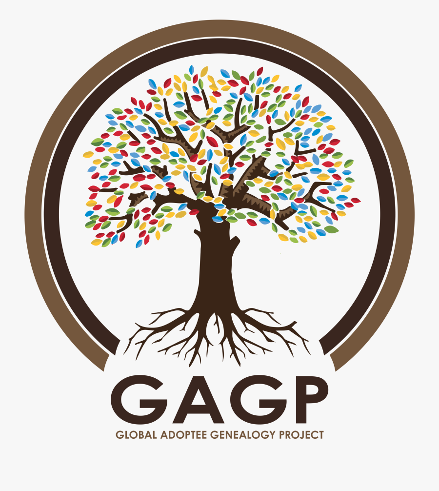 Mixed Roots Foundation Officially Launches Global Adoptee - David Reich Arrivati Qui, Transparent Clipart