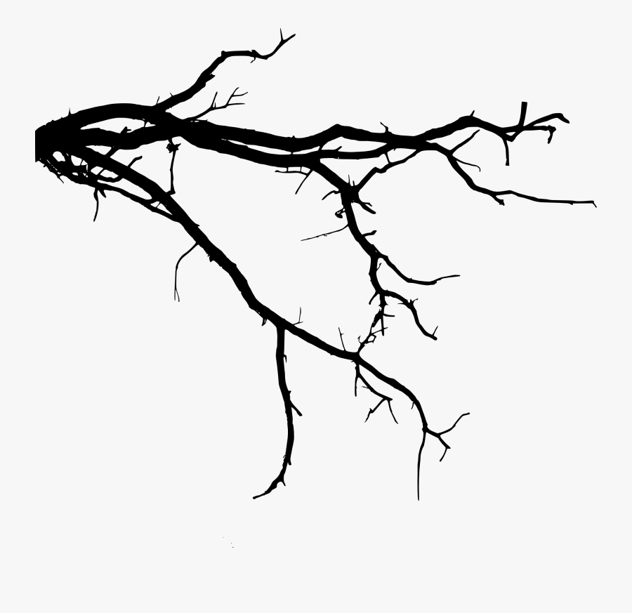 Tree Roots Silhouette Png Download Tree Roots Silhouette - Tree Branch Silhouette Png, Transparent Clipart