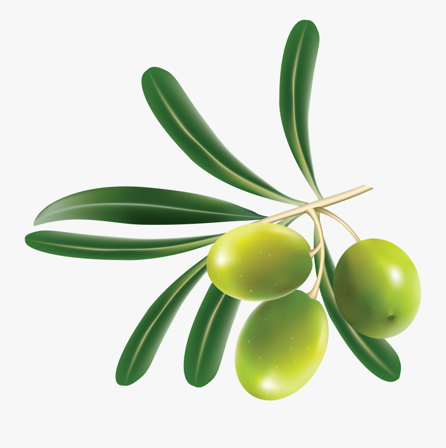 Transparent Background Olives Png, Transparent Clipart
