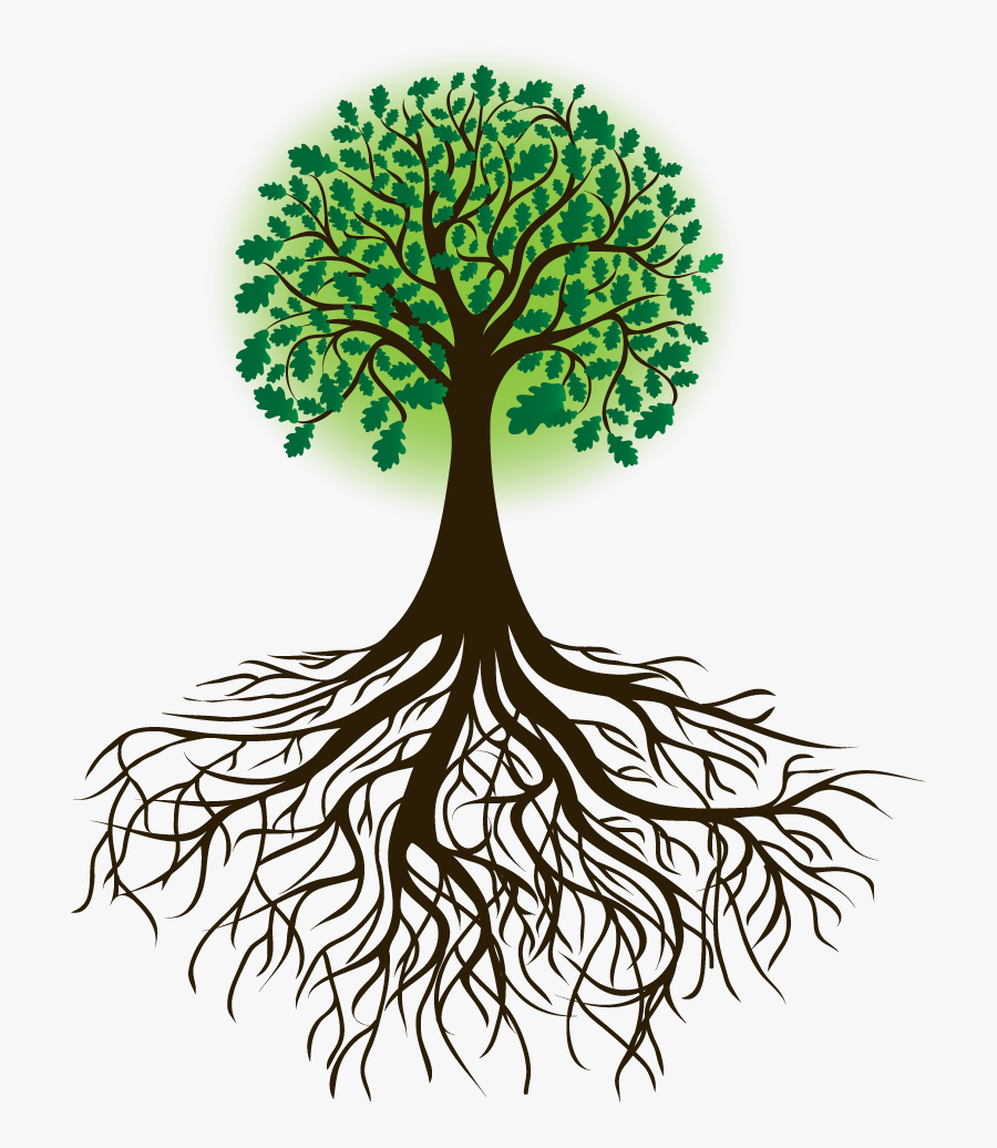 Arbol Raices Borges Transparent Tree With Roots- - Transparent Tree Of Life Breastfeeding, Transparent Clipart