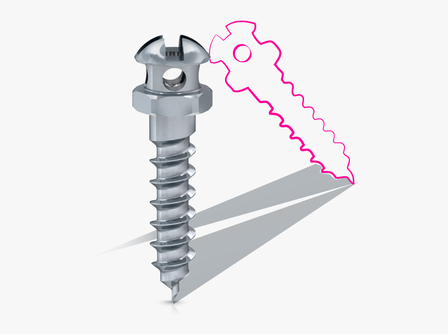 Mis Link, Transparent Clipart