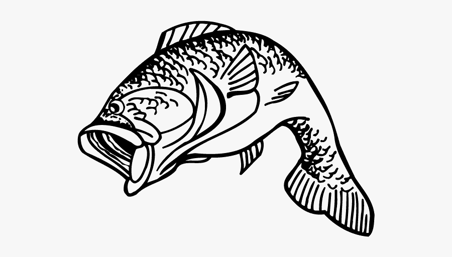 Caught Largemouth Bass Decals, Transparent Clipart
