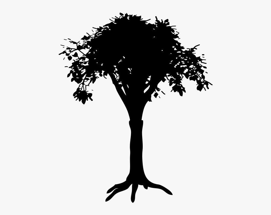 Photography - Tree Drawing Silhouette, Transparent Clipart