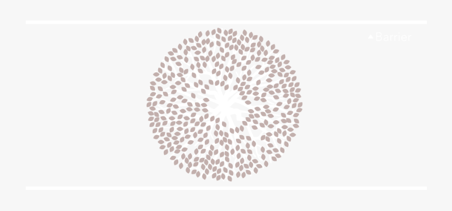 Circle, Transparent Clipart