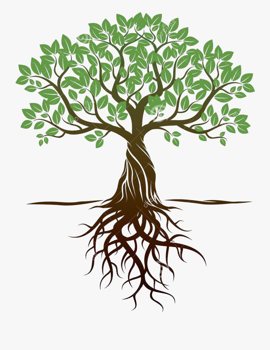 Transparent Roots Png - Tree Clipart With Roots, Transparent Clipart