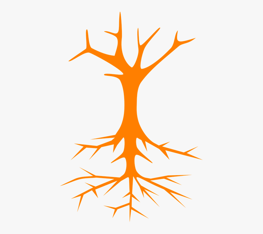 Tree, Roots, Stem, Branches, Naked, Bare, Cross Section - Roots Clipart, Transparent Clipart