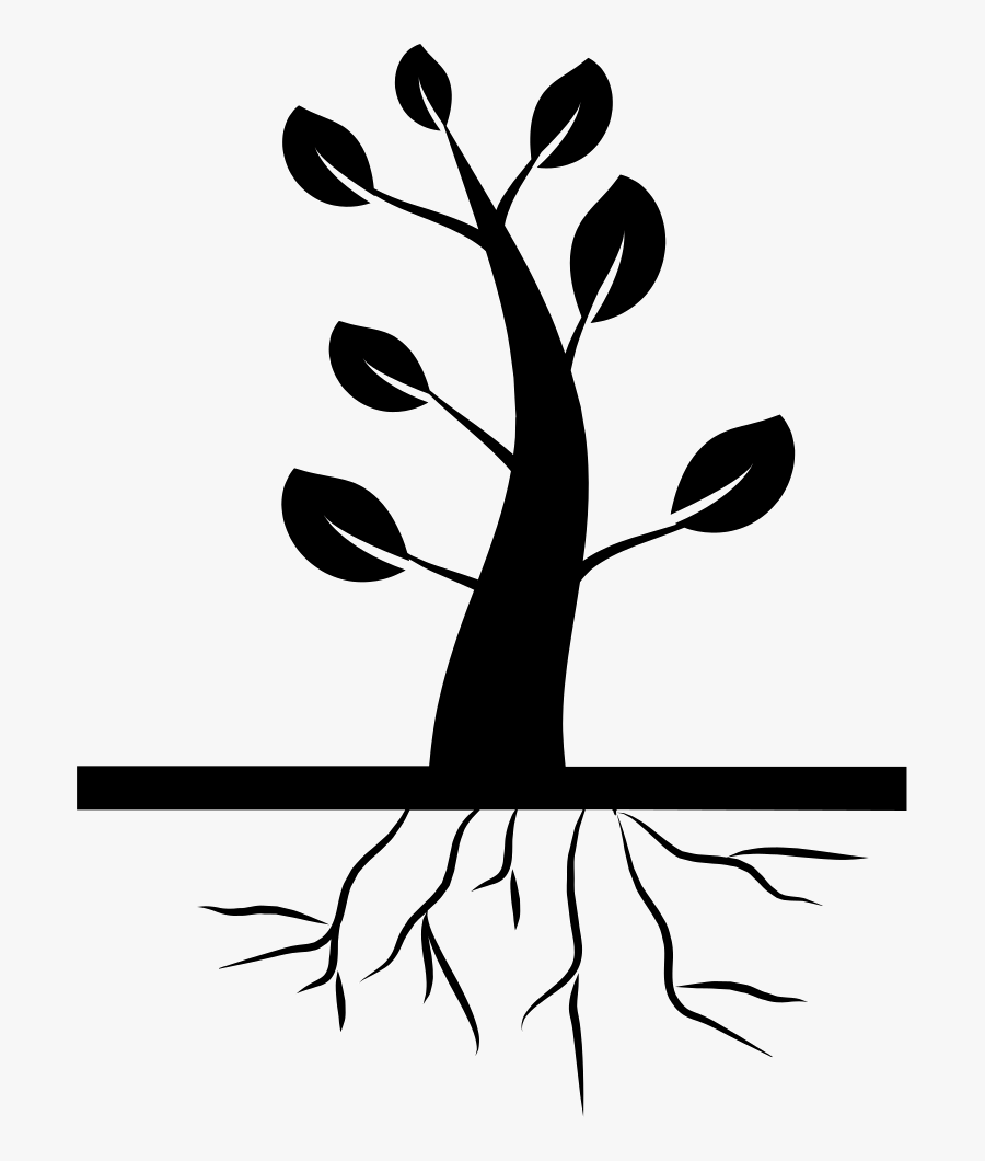 Tree And Roots - Tree With Roots Icon, Transparent Clipart