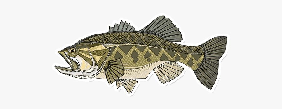 Smallmouth Bass Png, Transparent Clipart