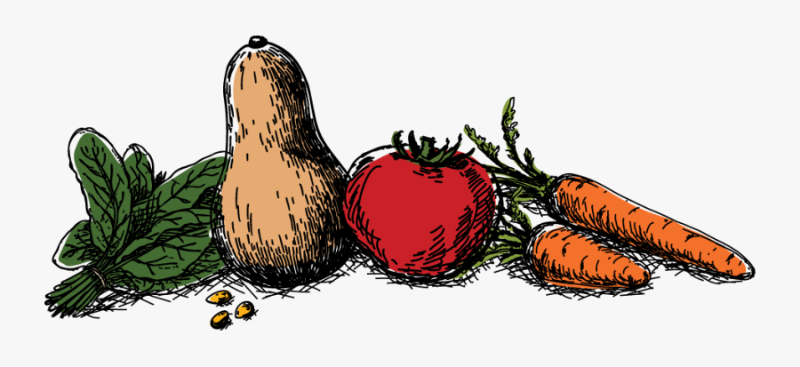 Cartoon Of Vegetables Transparent, Transparent Clipart