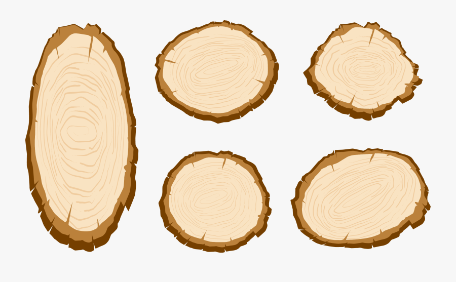 Transparent Tree Stump Png - Oval Wood Clip Art, Transparent Clipart