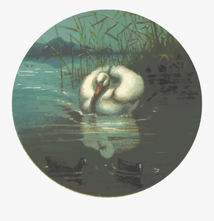Circular Swan Drawing - Swan, Transparent Clipart