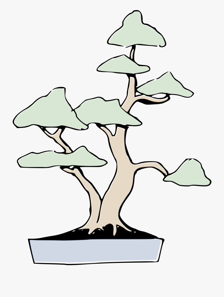 Bonsai Clipart , Png Download - Twin Trunk Bonsai, Transparent Clipart