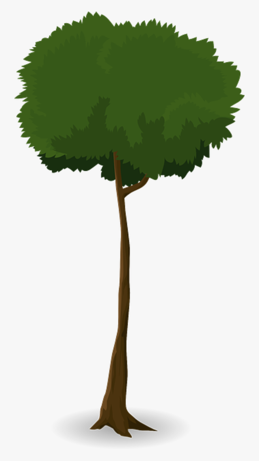 Tree Trunk Nature Leaves Branches Graphic Organic - Trunk, Transparent Clipart
