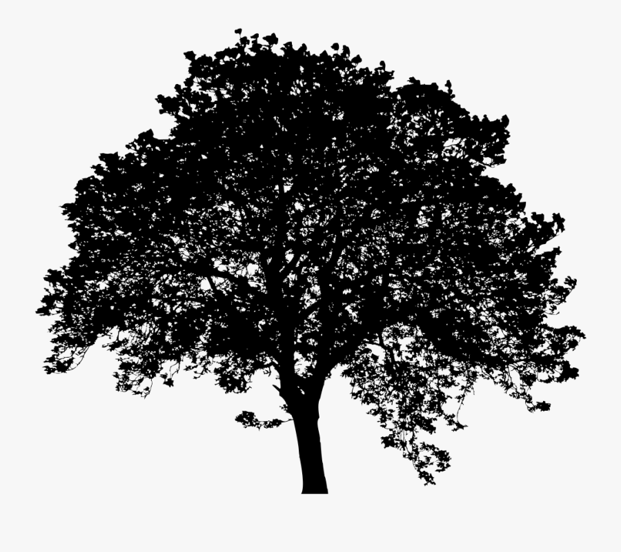 Full Leafy Tree Silhouette - Leafy Tree Silhouette Png Transparent ...