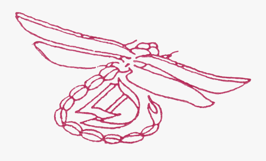 Lisa Dinhofer - Drawing, Transparent Clipart