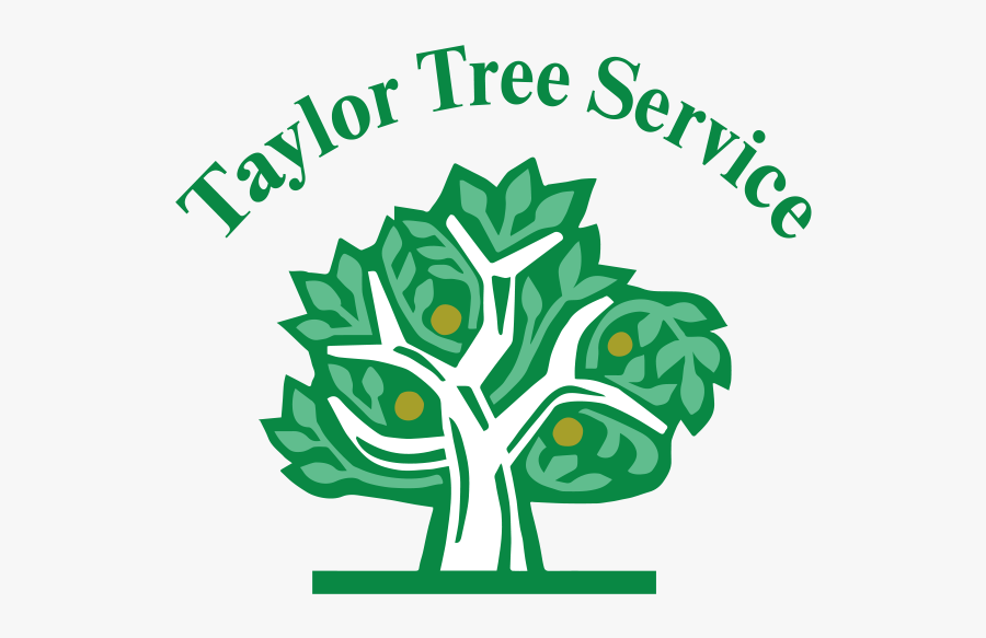 Taylor Tree Service - Captain Cooks Family Tree, Transparent Clipart
