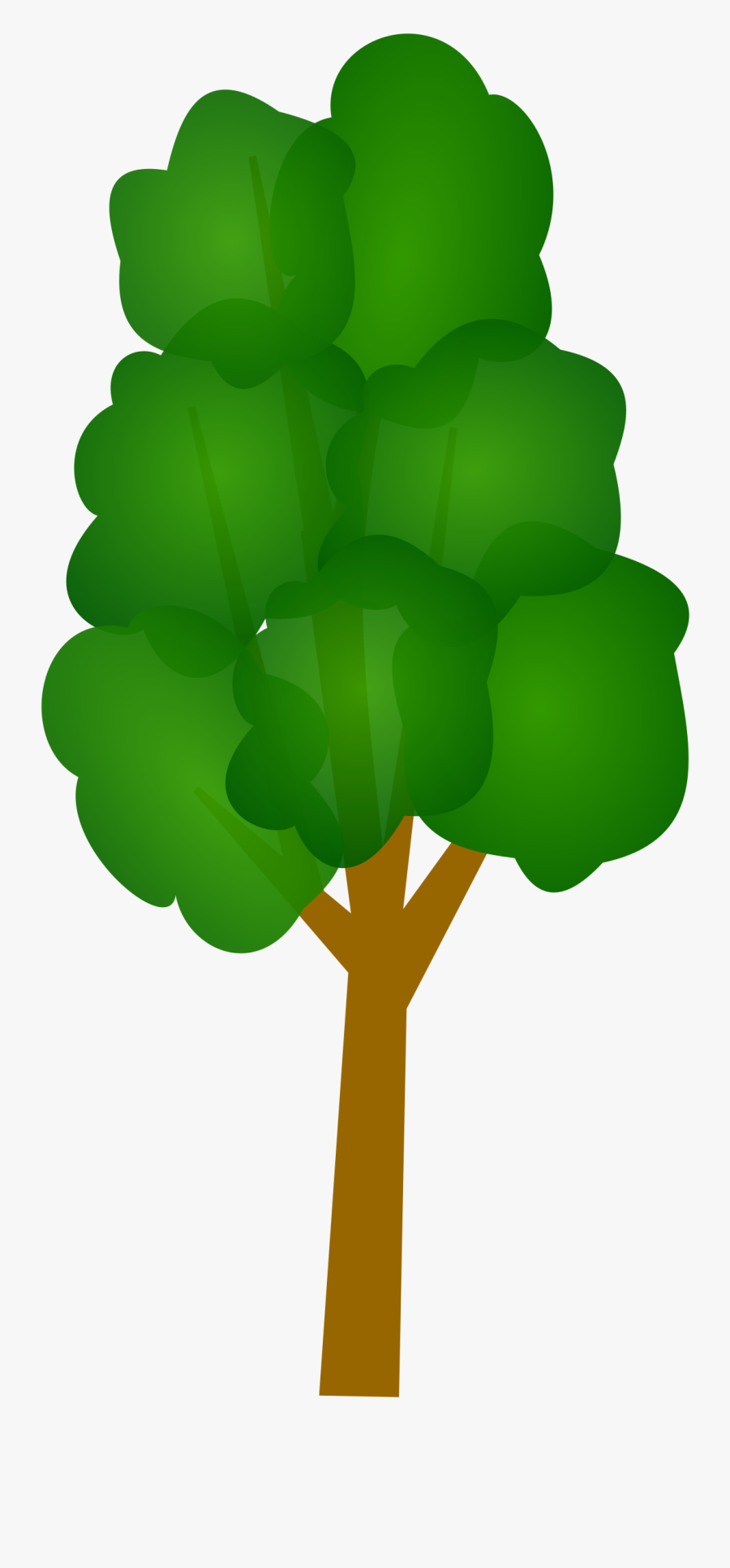 Tree Trunk Plan Free Picture Slim Tree Clipart Free Transparent Clipart Clipartkey