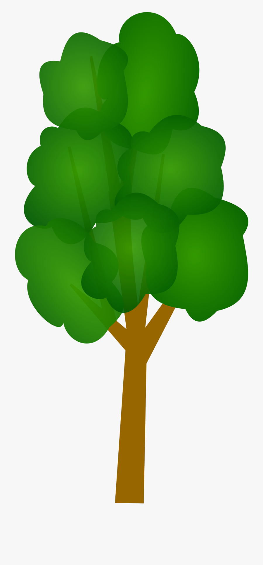 Tree Trunk Plan Free Picture - Slim Tree Clipart, Transparent Clipart