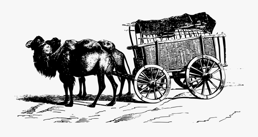 Camel And Wagon, Transparent Clipart