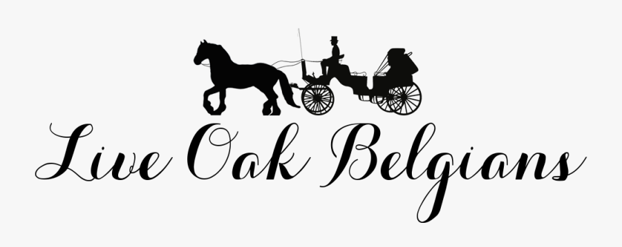 Back Home - Mare, Transparent Clipart