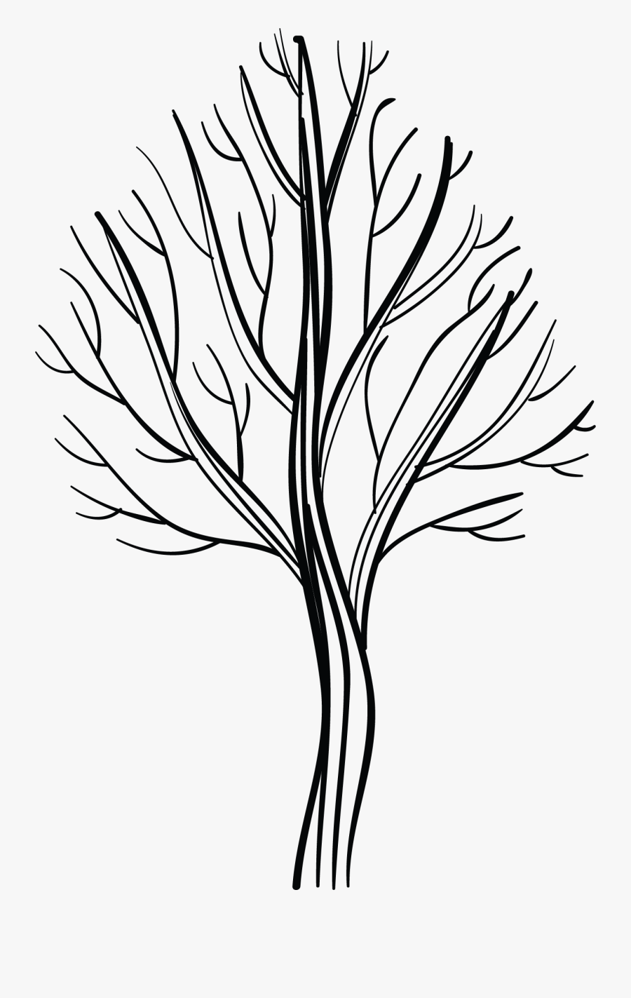 Line Art, Transparent Clipart