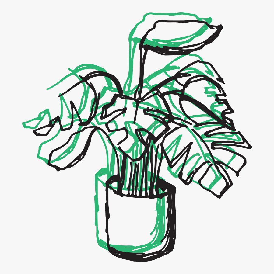 Your Guide To Indoor Greenery Fine Living Lancaster - Illustration, Transparent Clipart