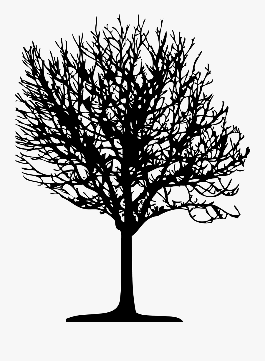 Tree Vector, Transparent Clipart