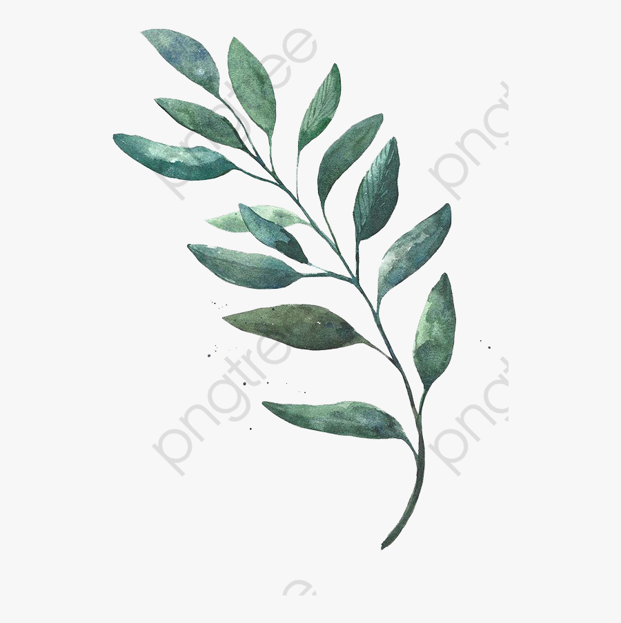 Watercolor Leaves, Watercolor Clipart, Green, Leaf - Watercolor Green Leaves Png, Transparent Clipart