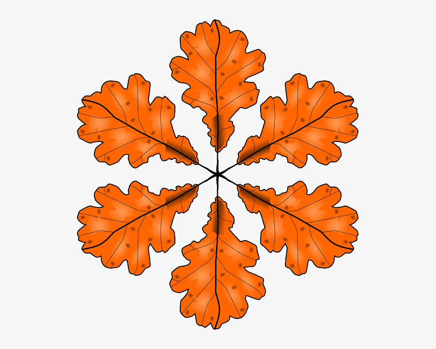 Orange Foliage, Leaves, Autumn, Fall, Greenery, Orange - 3 Oaks Clip Art, Transparent Clipart